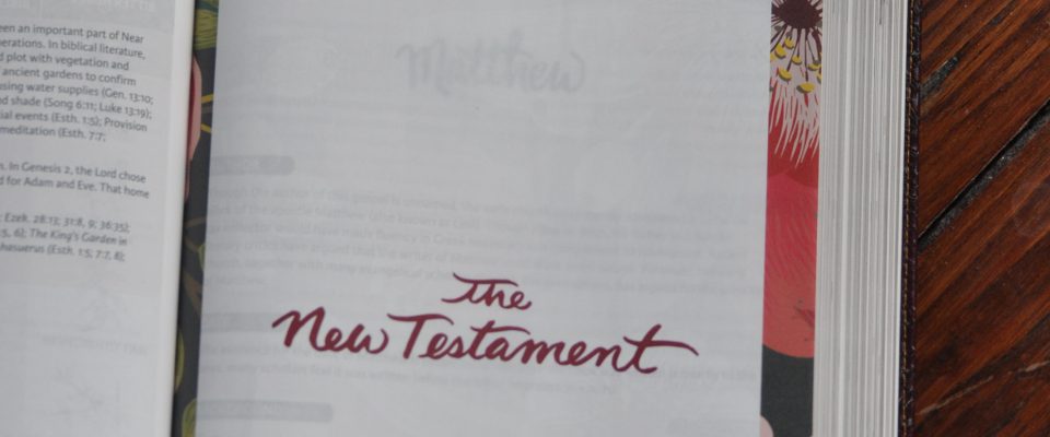 NKJV Woman's Bible Study
